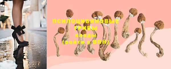 тгк Белокуриха